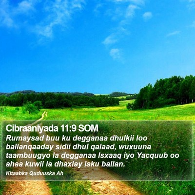 Cibraaniyada 11:9 SOM Bible Verse Image