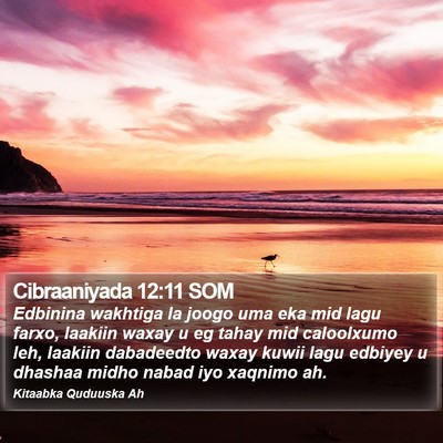 Cibraaniyada 12:11 SOM Bible Verse Image