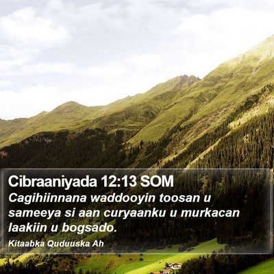 Cibraaniyada 12:13 SOM Bible Verse Image