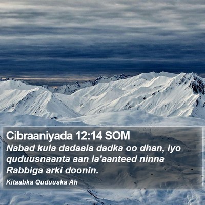 Cibraaniyada 12:14 SOM Bible Verse Image