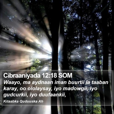 Cibraaniyada 12:18 SOM Bible Verse Image