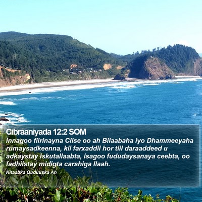 Cibraaniyada 12:2 SOM Bible Verse Image