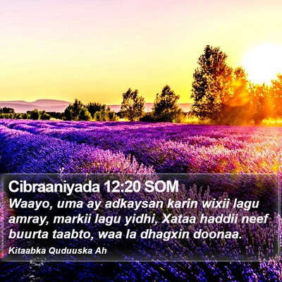 Cibraaniyada 12:20 SOM Bible Verse Image