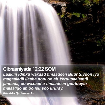 Cibraaniyada 12:22 SOM Bible Verse Image