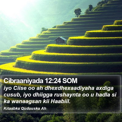 Cibraaniyada 12:24 SOM Bible Verse Image