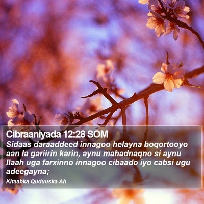Cibraaniyada 12:28 SOM Bible Verse Image