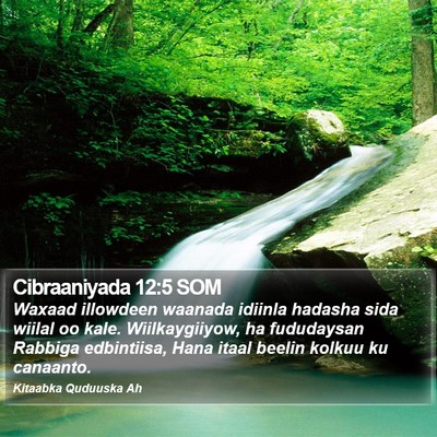 Cibraaniyada 12:5 SOM Bible Verse Image
