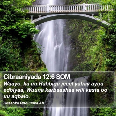 Cibraaniyada 12:6 SOM Bible Verse Image