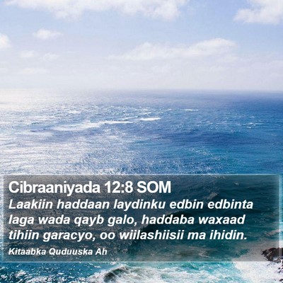 Cibraaniyada 12:8 SOM Bible Verse Image