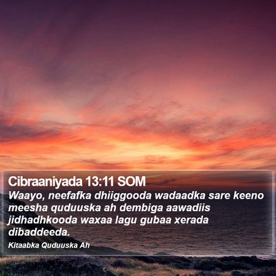 Cibraaniyada 13:11 SOM Bible Verse Image