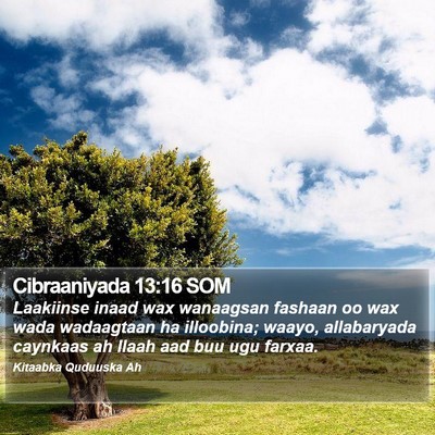 Cibraaniyada 13:16 SOM Bible Verse Image