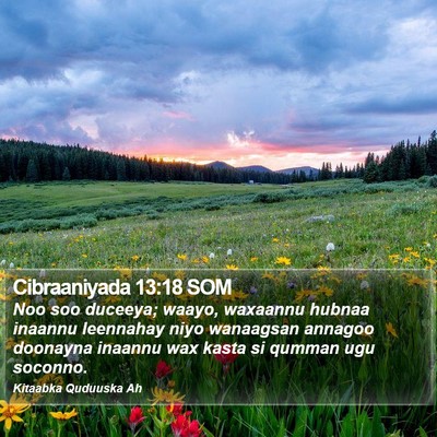 Cibraaniyada 13:18 SOM Bible Verse Image
