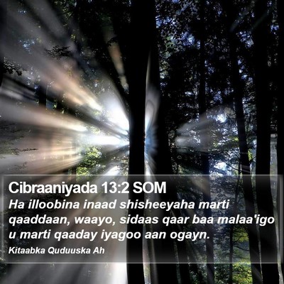 Cibraaniyada 13:2 SOM Bible Verse Image