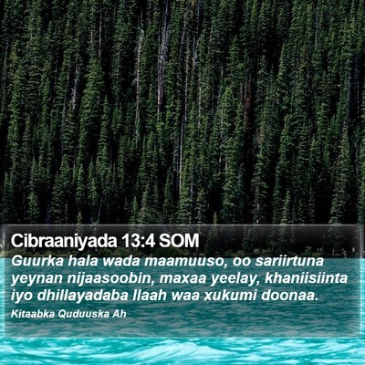 Cibraaniyada 13:4 SOM Bible Verse Image