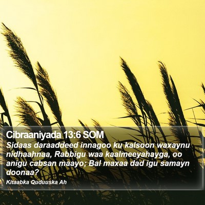 Cibraaniyada 13:6 SOM Bible Verse Image