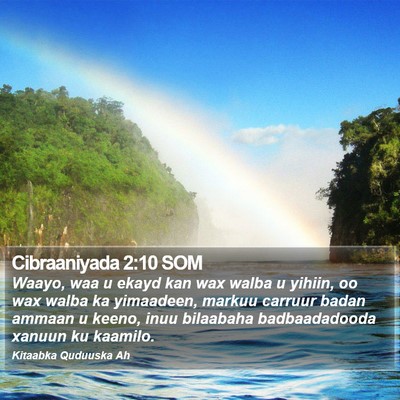 Cibraaniyada 2:10 SOM Bible Verse Image