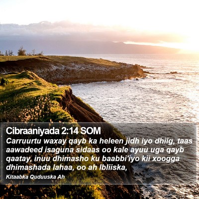 Cibraaniyada 2:14 SOM Bible Verse Image