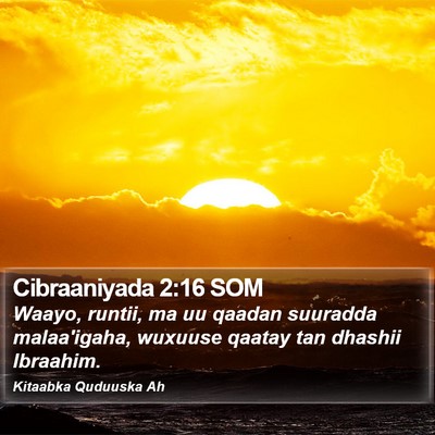 Cibraaniyada 2:16 SOM Bible Verse Image