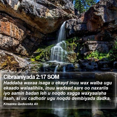 Cibraaniyada 2:17 SOM Bible Verse Image