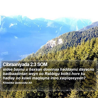 Cibraaniyada 2:3 SOM Bible Verse Image