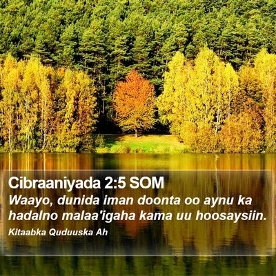 Cibraaniyada 2:5 SOM Bible Verse Image