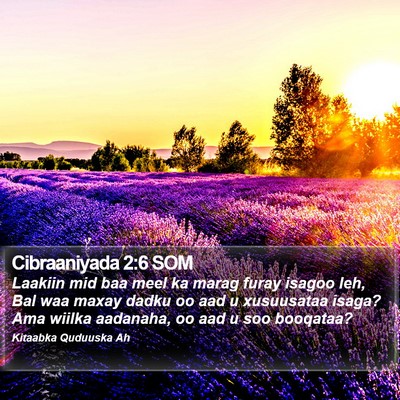 Cibraaniyada 2:6 SOM Bible Verse Image
