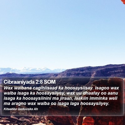 Cibraaniyada 2:8 SOM Bible Verse Image