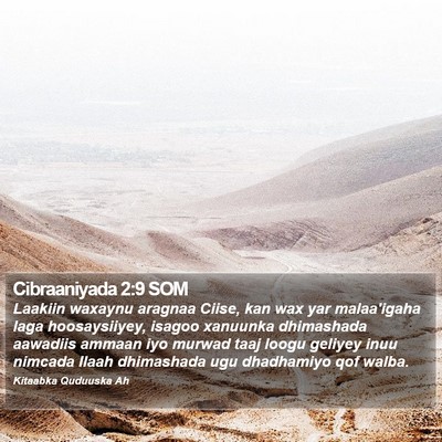 Cibraaniyada 2:9 SOM Bible Verse Image