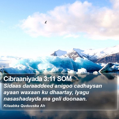 Cibraaniyada 3:11 SOM Bible Verse Image