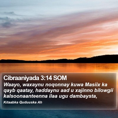 Cibraaniyada 3:14 SOM Bible Verse Image