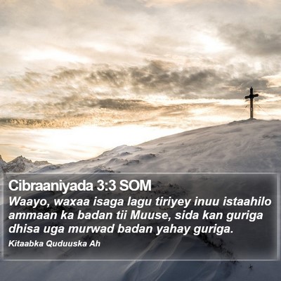 Cibraaniyada 3:3 SOM Bible Verse Image