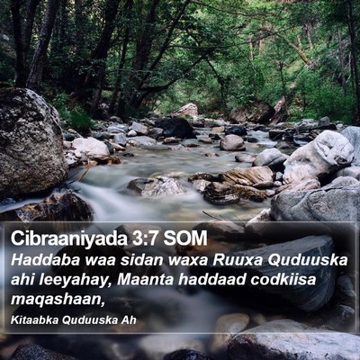 Cibraaniyada 3:7 SOM Bible Verse Image