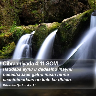 Cibraaniyada 4:11 SOM Bible Verse Image