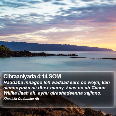 Cibraaniyada 4:14 SOM Bible Verse Image