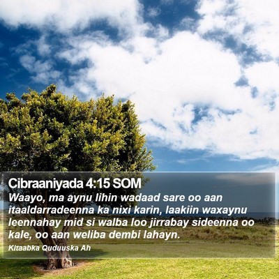 Cibraaniyada 4:15 SOM Bible Verse Image