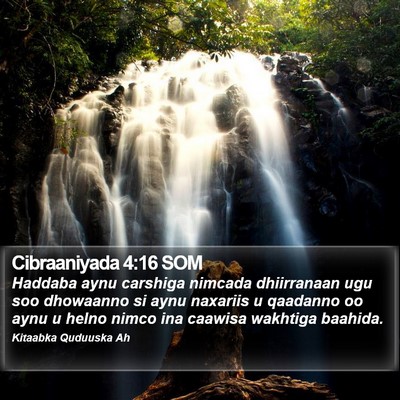 Cibraaniyada 4:16 SOM Bible Verse Image