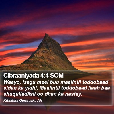 Cibraaniyada 4:4 SOM Bible Verse Image
