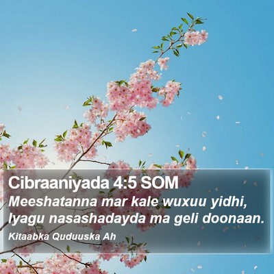 Cibraaniyada 4:5 SOM Bible Verse Image