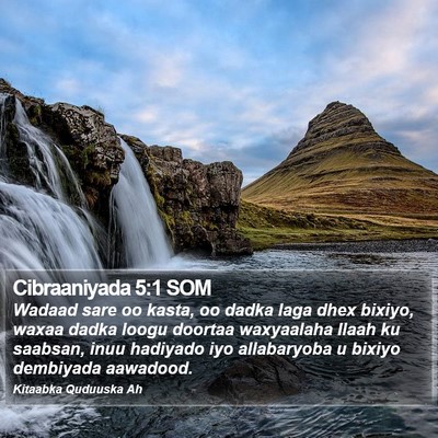 Cibraaniyada 5:1 SOM Bible Verse Image