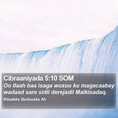 Cibraaniyada 5:10 SOM Bible Verse Image