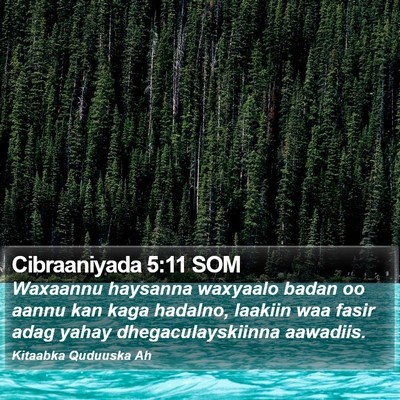 Cibraaniyada 5:11 SOM Bible Verse Image