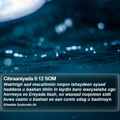 Cibraaniyada 5:12 SOM Bible Verse Image