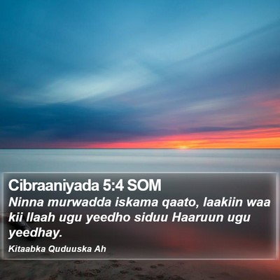 Cibraaniyada 5:4 SOM Bible Verse Image
