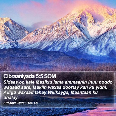 Cibraaniyada 5:5 SOM Bible Verse Image