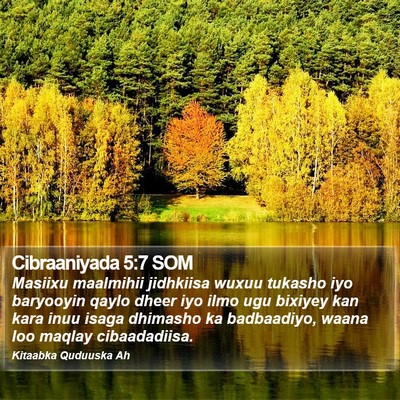 Cibraaniyada 5:7 SOM Bible Verse Image