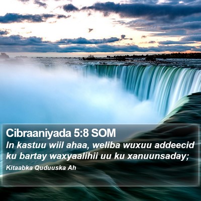 Cibraaniyada 5:8 SOM Bible Verse Image