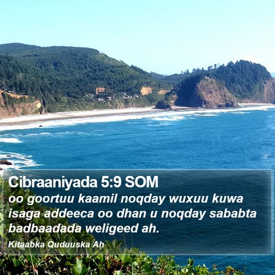 Cibraaniyada 5:9 SOM Bible Verse Image