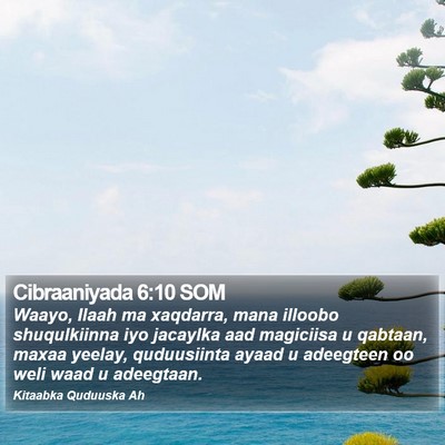 Cibraaniyada 6:10 SOM Bible Verse Image