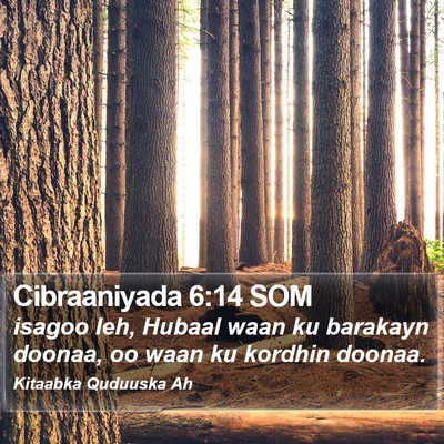 Cibraaniyada 6:14 SOM Bible Verse Image