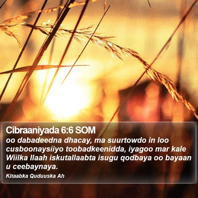 Cibraaniyada 6:6 SOM Bible Verse Image